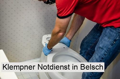 Klempner Notdienst in Belsch